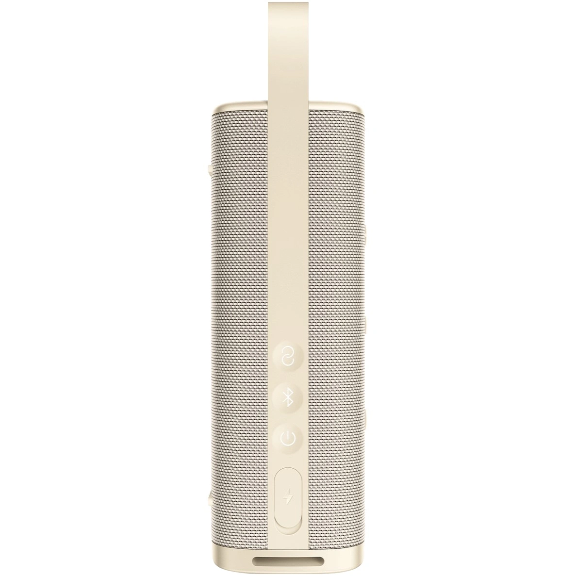 Беспроводная акустика XiaoMi Sound Outdoor 30W S29D, Золотой. Фото 3