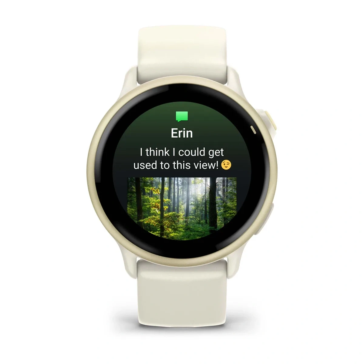 Умные часы Garmin Vivoactive 6 Золотистый/Бежевый (010-02985-41). Фото 2