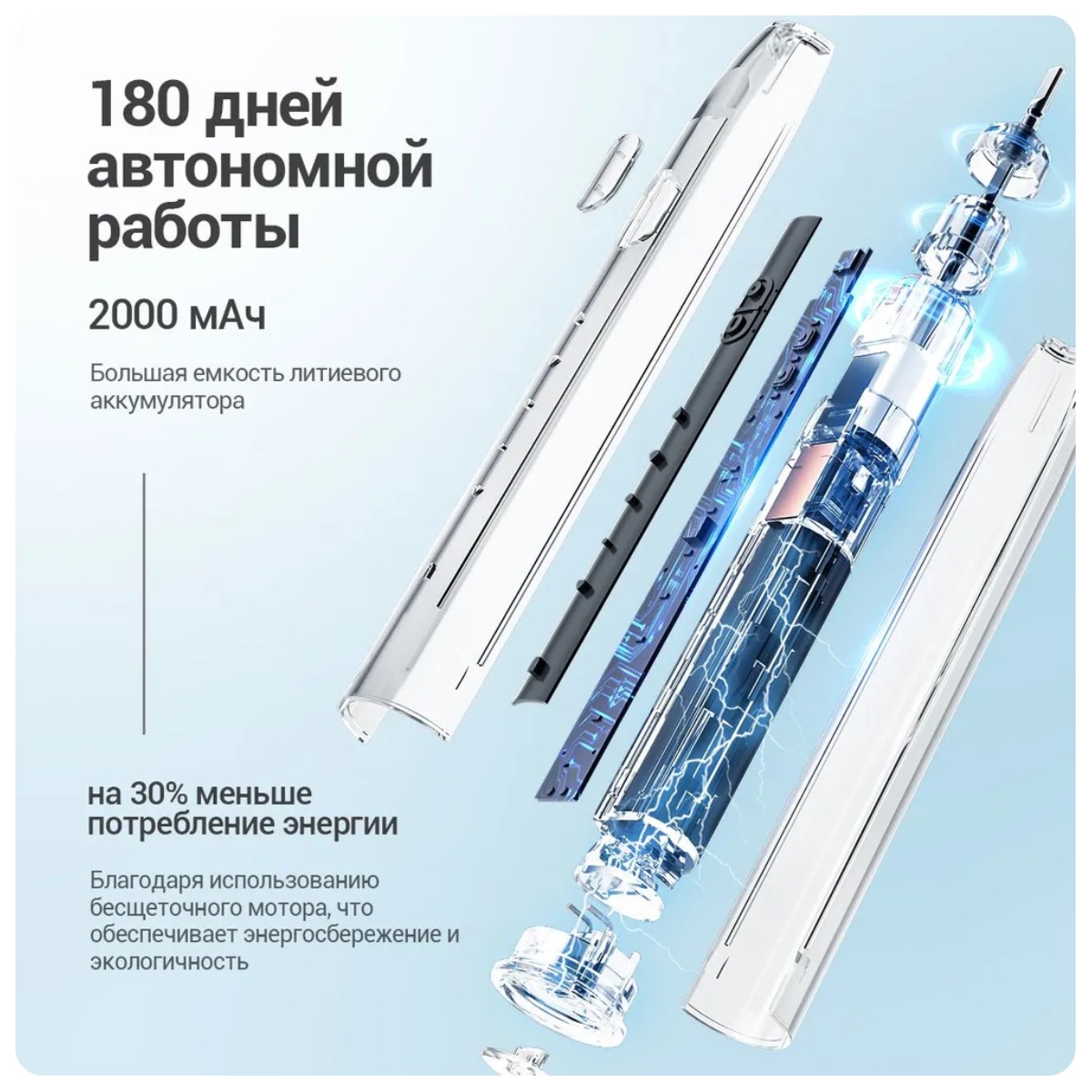 KaringBee-R101-02