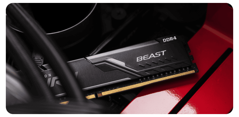 Kingston-FURY-Beast-Black-KF432C16BB1K2-32-03