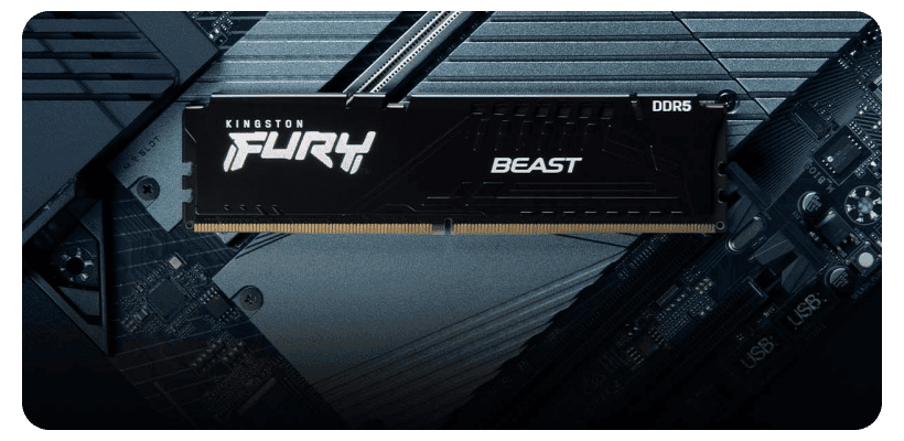 Kingston-FURY-Beast-05