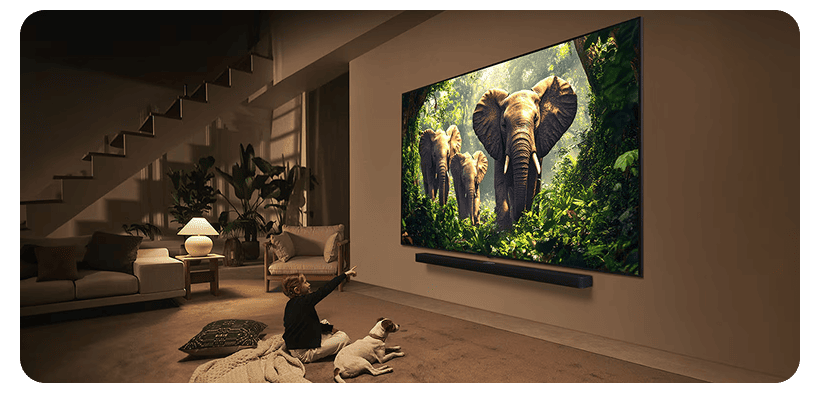 LG-65QNED86A6A-09