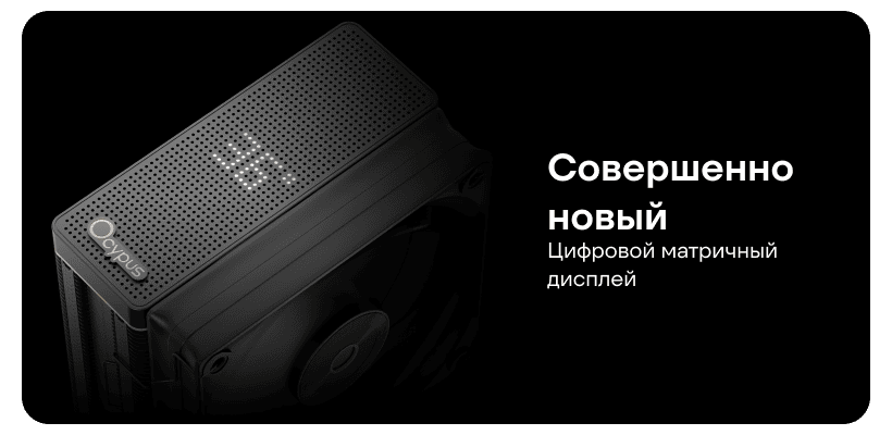 Ocypus-Iota-A40-02