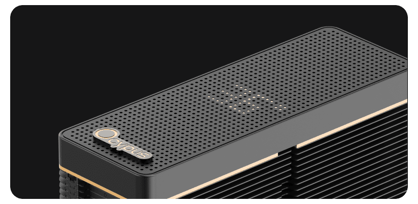 Ocypus-Iota-A40-03