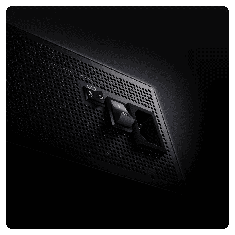 Ocypus-Iota-P850-02