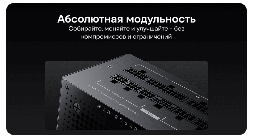 Ocypus-Iota-P850-05